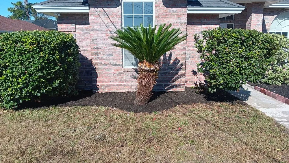 Professional yard cleanup service in New Port Richey, FL - The Wright Lawn Care
