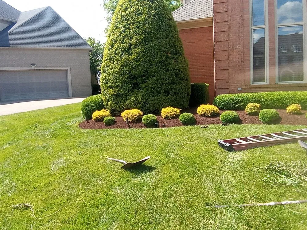 Reliable yard maintenance for year-round maintenance across Louisville, KY - The wright out door service's