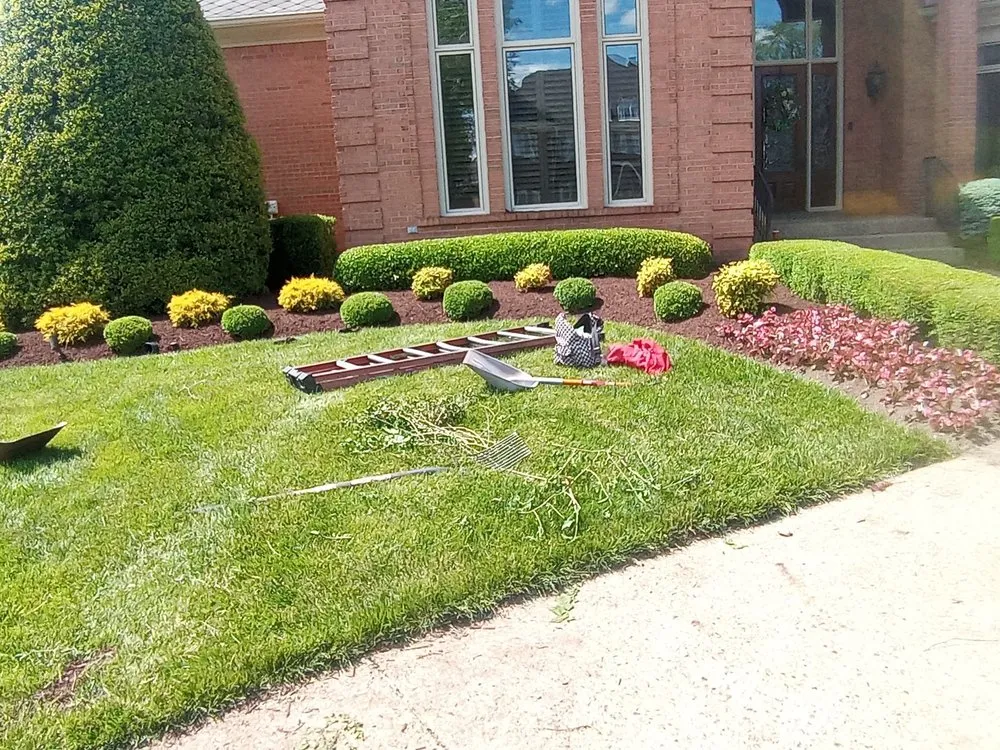 Reliable yard maintenance in Louisville, KY by The wright out door service's