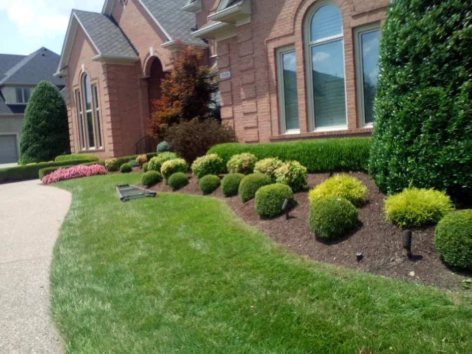 Local landscaping services in Louisville, KY - The wright out door service's