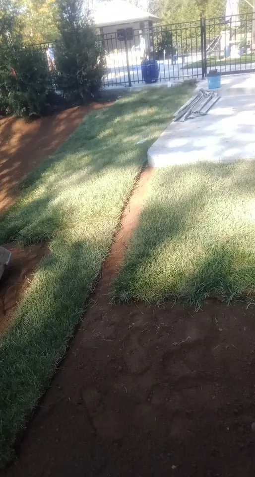 Top-rated residential landscaping for beautiful yards in Louisville, KY by The wright out door service's