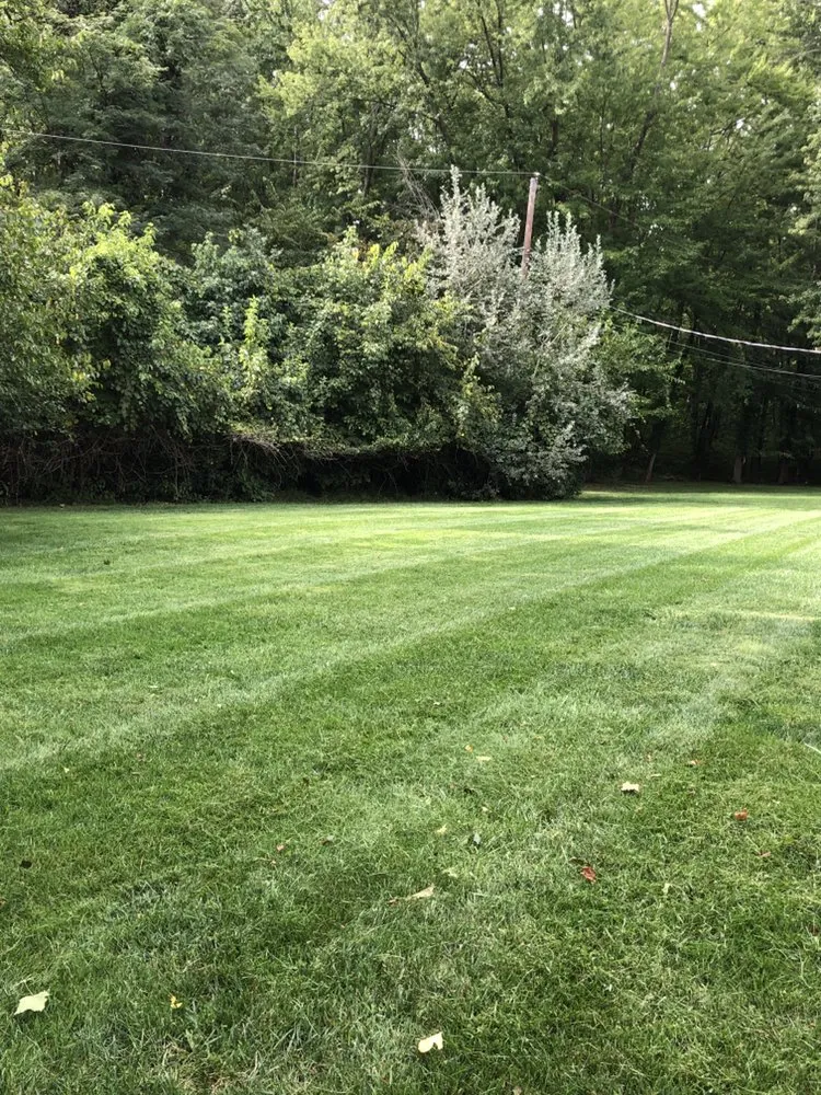 Custom yard maintenance experts serving Reynoldsburg, OH - The Wright Touch Landscaping and Lawncare