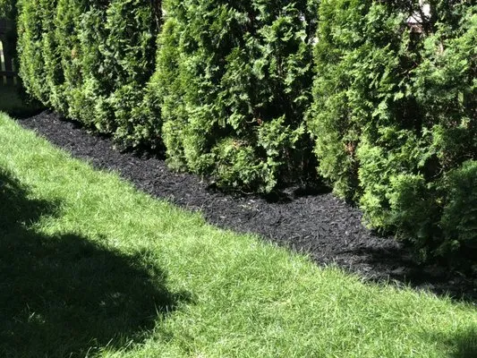 The Wright Touch Landscaping and Lawncare Logo