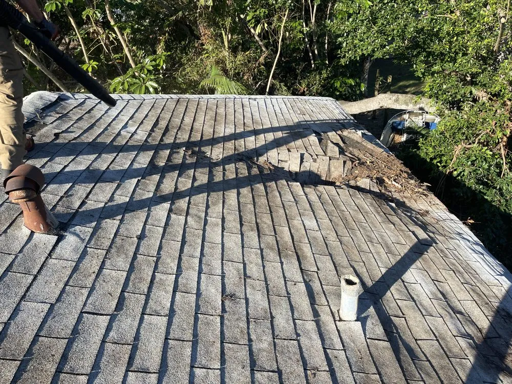 Trusted yard maintenance with custom design in St. Petersburg, FL by The Wright Tree Services