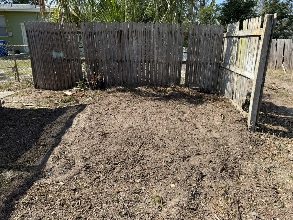 Custom yard cleanup service for residential properties in St. Petersburg, FL by The Wright Tree Services