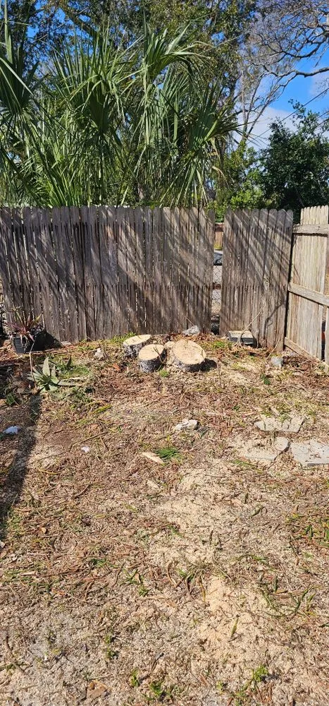 Reliable garden landscaping experts serving St. Petersburg, FL - The Wright Tree Services