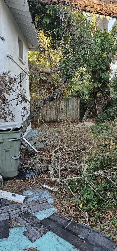 Professional garden landscaping for year-round maintenance across St. Petersburg, FL - The Wright Tree Services