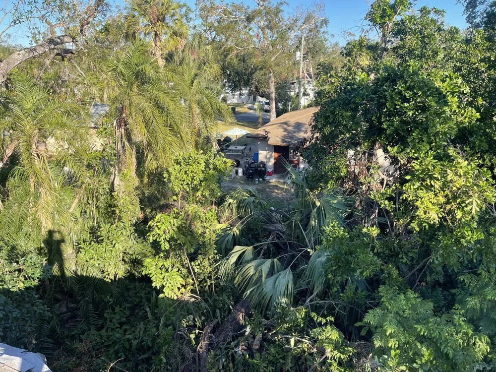 Custom landscape installation in St. Petersburg, FL by The Wright Tree Services