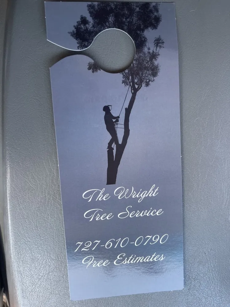 Local yard maintenance experts serving St. Petersburg, FL - The Wright Tree Services