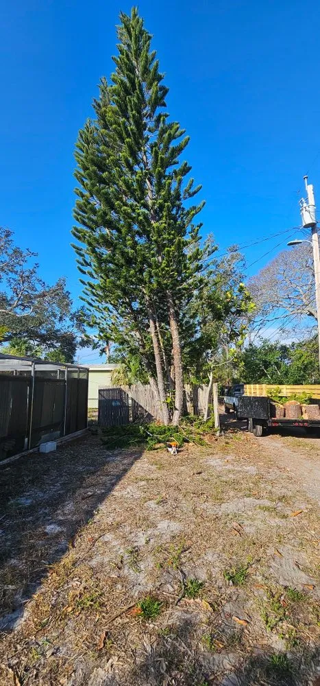 Expert garden landscaping in St. Petersburg, FL by The Wright Tree Services