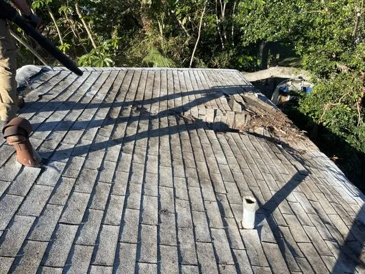 The Wright Tree Services Logo