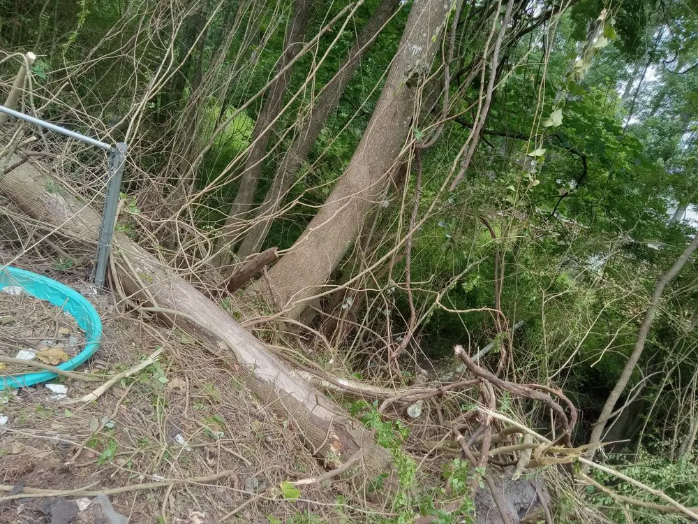 Local lawn mowing service experts serving Havelock, NC - The Wright Way Landscaping