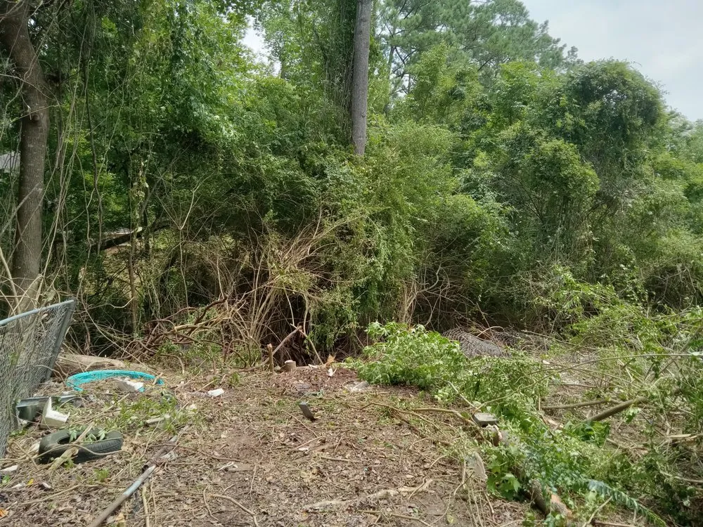 Top-rated residential landscaping for residential properties in Havelock, NC by The Wright Way Landscaping