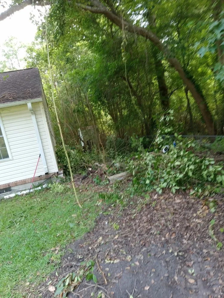 Trusted landscape design experts serving Havelock, NC - The Wright Way Landscaping