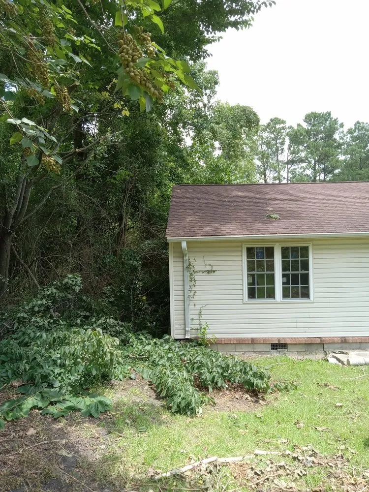 Custom lawn mowing service for outdoor upgrades in Havelock, NC by The Wright Way Landscaping