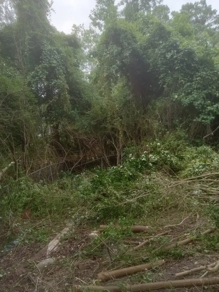 Affordable yard maintenance in Havelock, NC by The Wright Way Landscaping