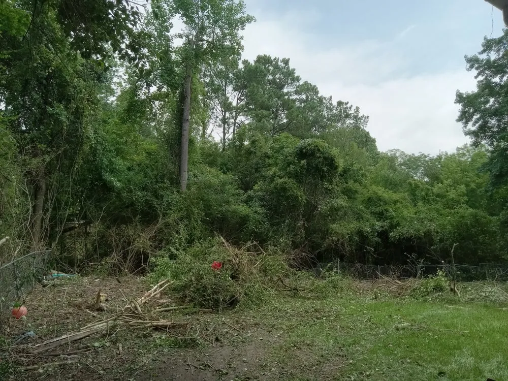 Affordable residential landscaping with custom design across Havelock, NC - The Wright Way Landscaping