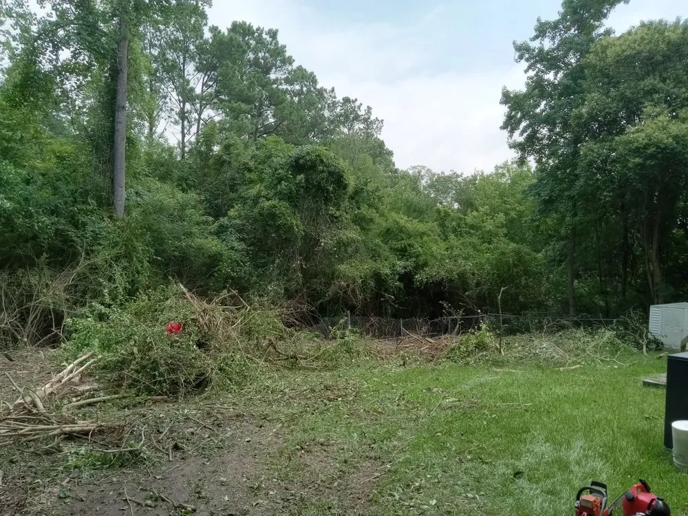 Affordable yard maintenance in Havelock, NC by The Wright Way Landscaping