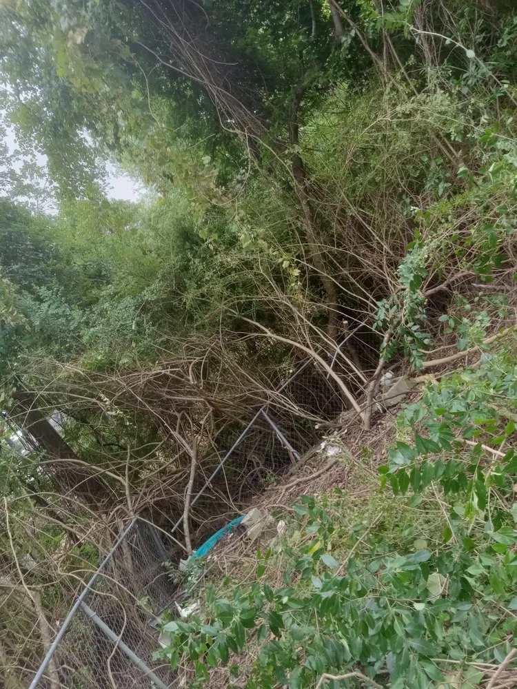 Professional garden landscaping for beautiful yards in Havelock, NC by The Wright Way Landscaping