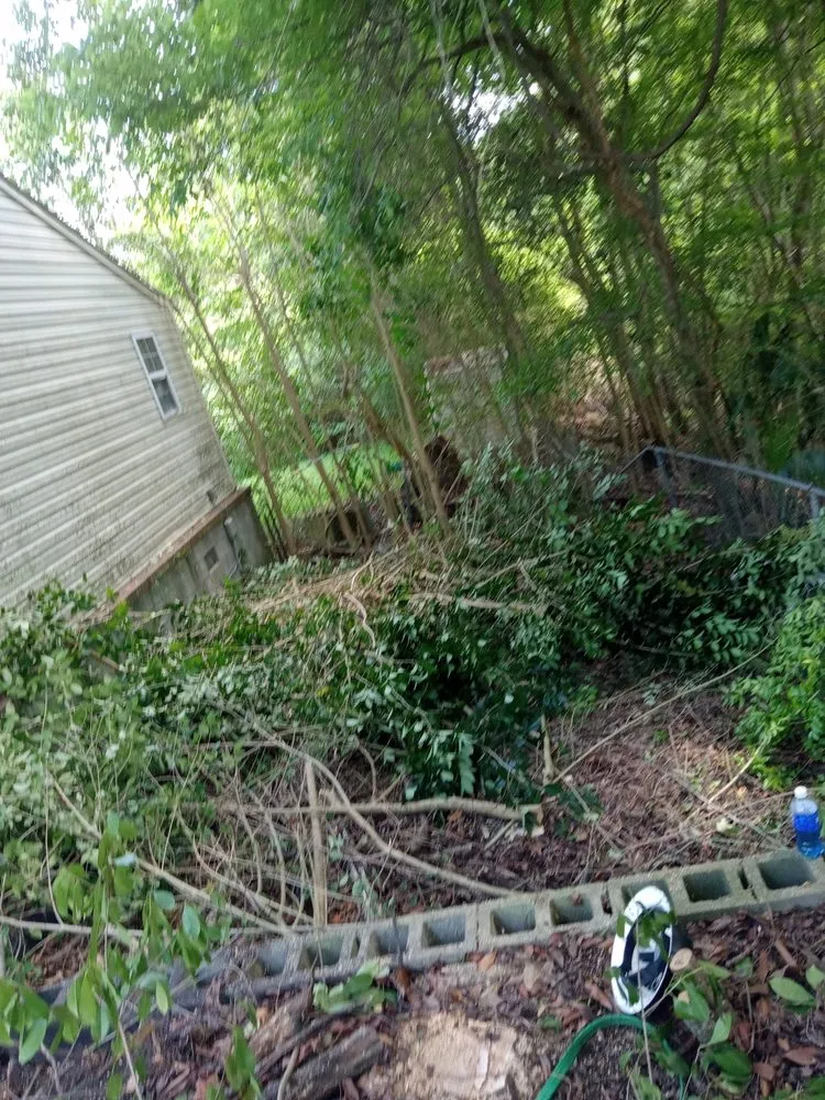 Trusted yard cleanup service for year-round maintenance in Havelock, NC by The Wright Way Landscaping
