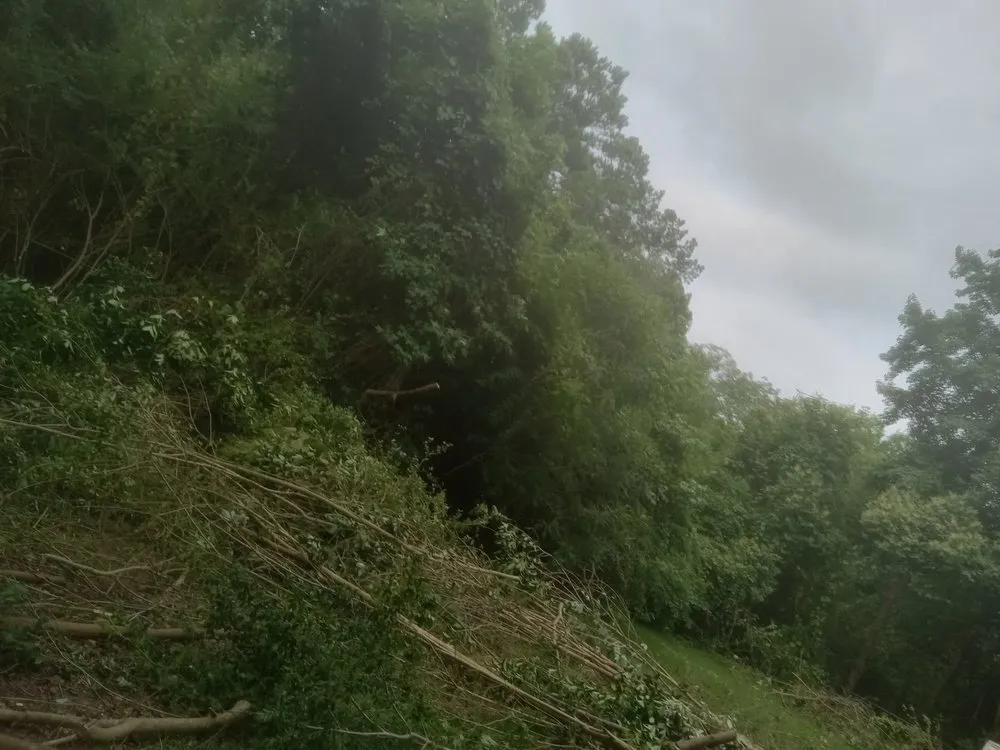 Reliable yard cleanup service for beautiful yards across Havelock, NC - The Wright Way Landscaping