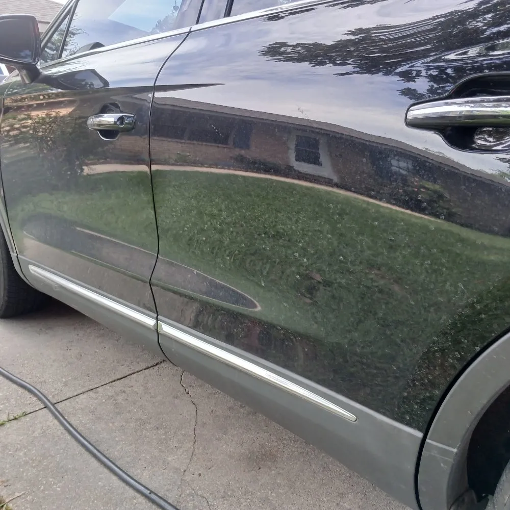 Expert yard cleanup service experts serving Scott, LA - The Yard And Home Doctors