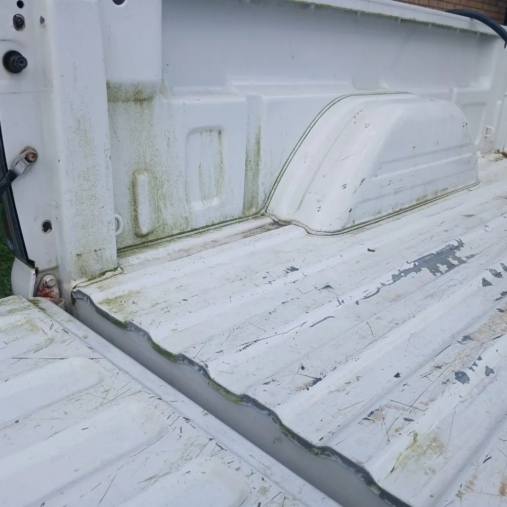 Trusted yard cleanup service experts serving Scott, LA - The Yard And Home Doctors