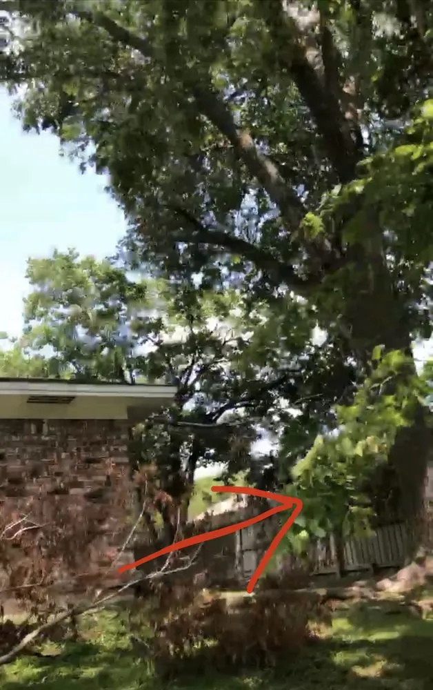 Local lawn mowing service with custom design across College Station, TX - The Yard Artist