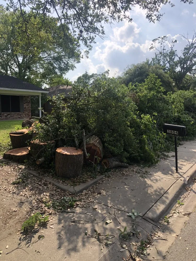 Expert landscape design in College Station, TX - The Yard Artist