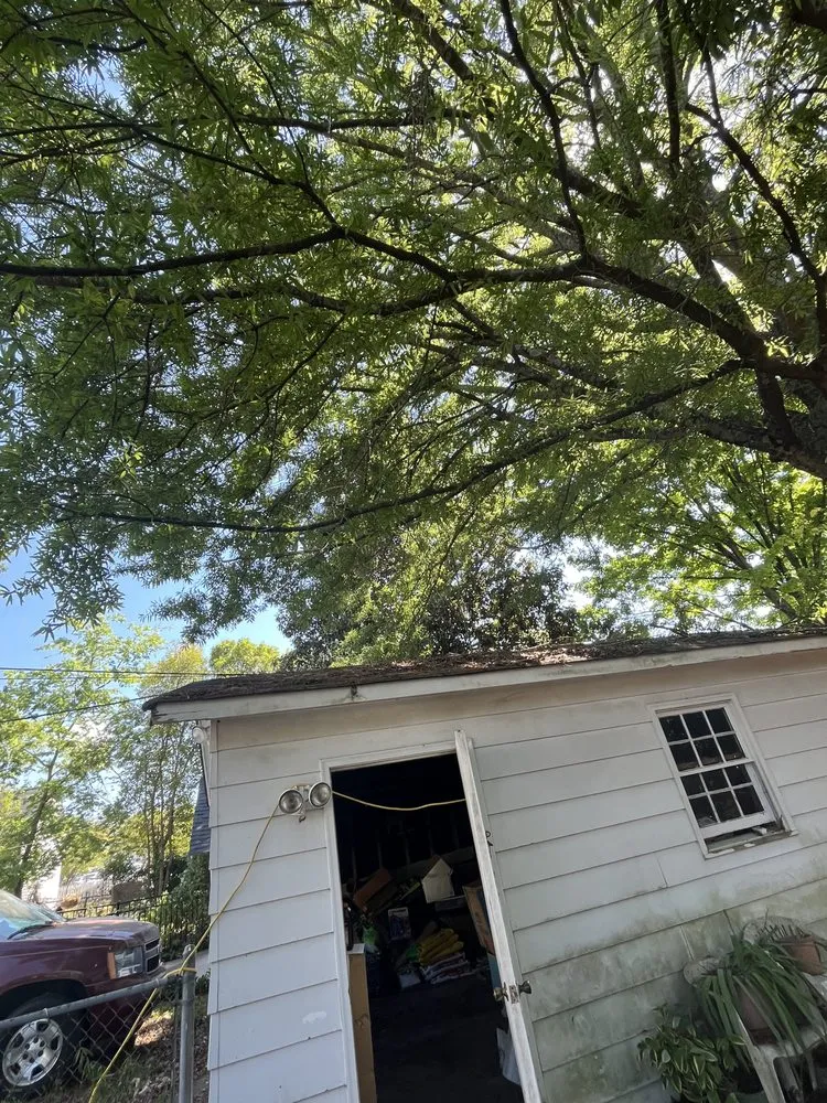 Trusted landscape installation in Greensboro, NC by The Yard Artist