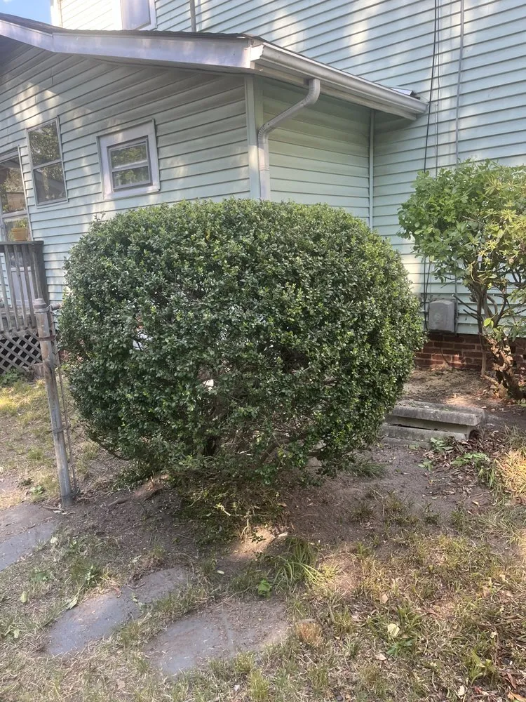 Expert residential landscaping in Greensboro, NC - The Yard Artist