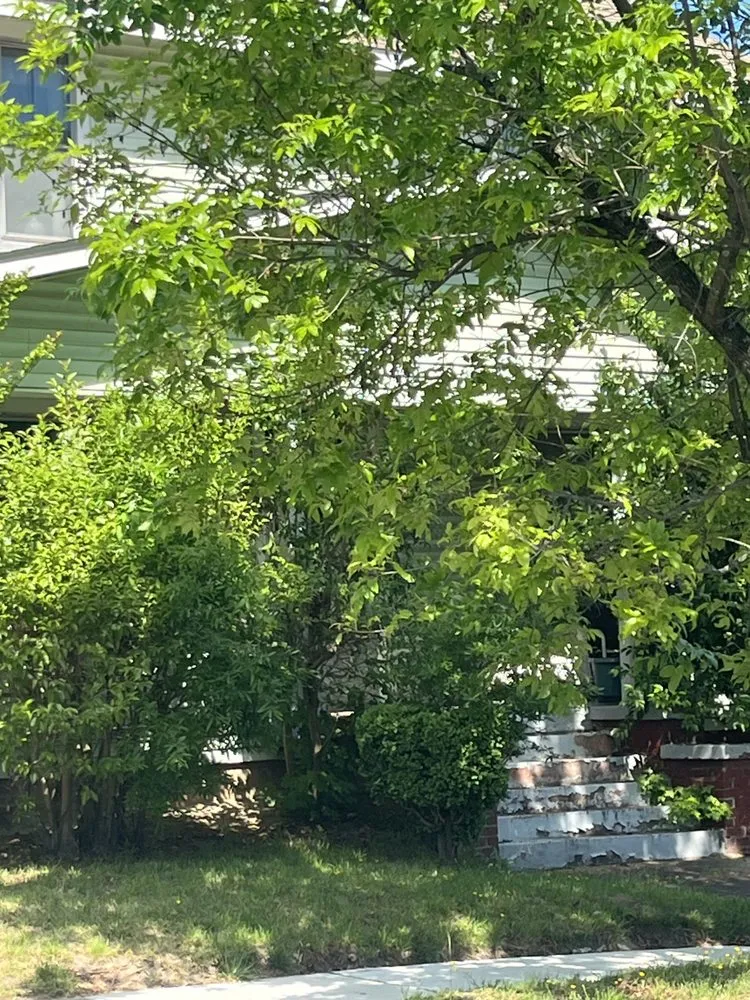 Professional lawn mowing service experts serving Greensboro, NC - The Yard Artist