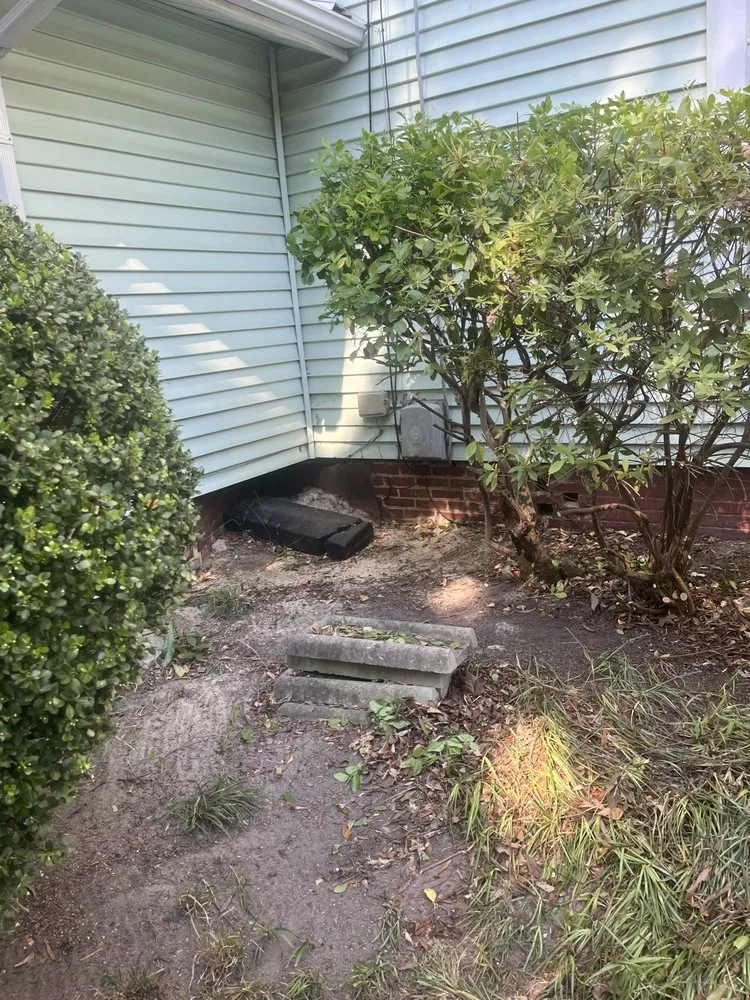 Expert lawn care service in Greensboro, NC - The Yard Artist