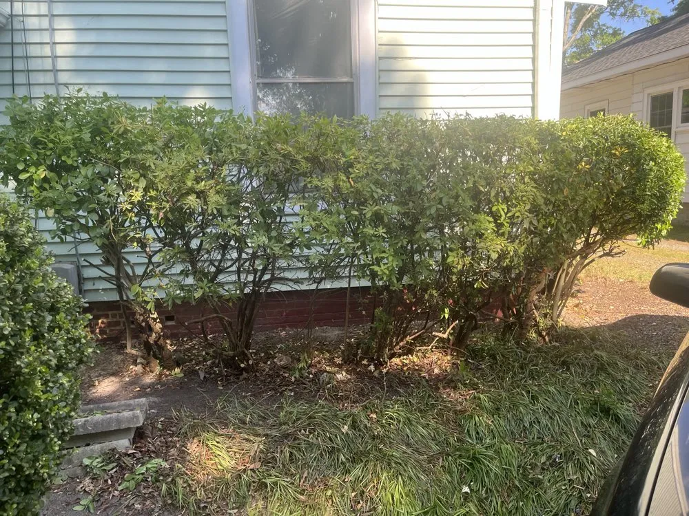 Reliable landscape design in Greensboro, NC - The Yard Artist