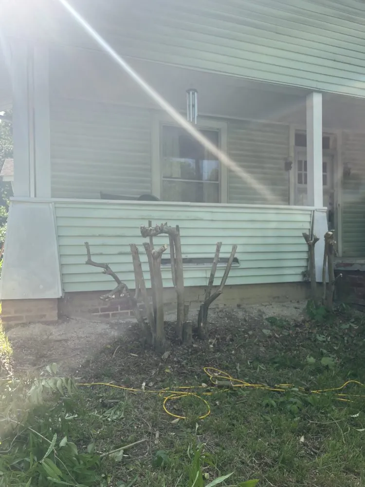 Professional outdoor landscaping for outdoor upgrades across Greensboro, NC - The Yard Artist