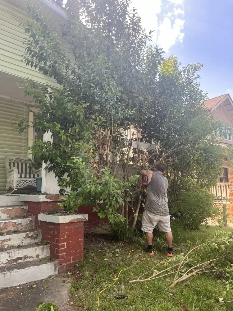 Local residential landscaping in Greensboro, NC by The Yard Artist