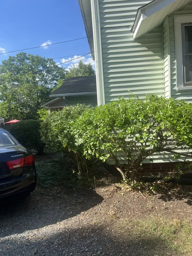 Affordable residential landscaping experts serving Greensboro, NC - The Yard Artist