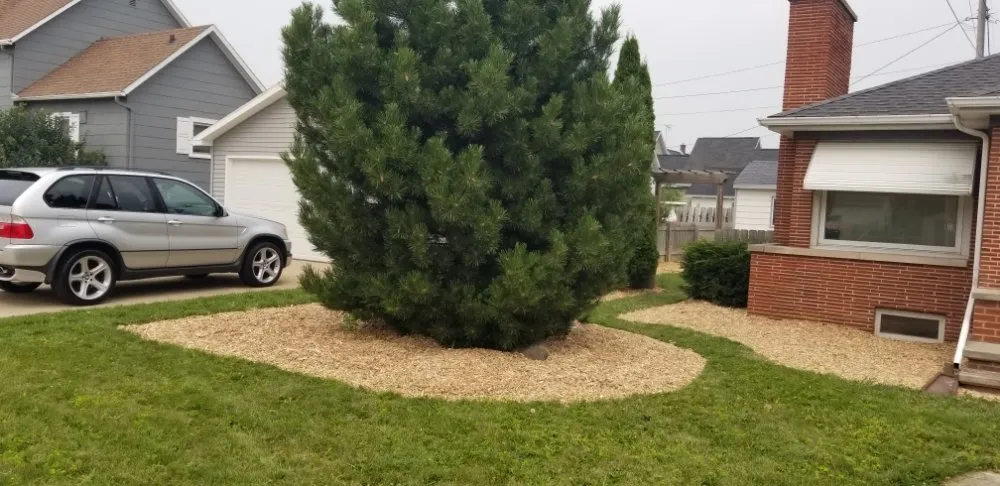 Trusted landscaping services for residential properties across Kimberly, WI - The Yard Artist