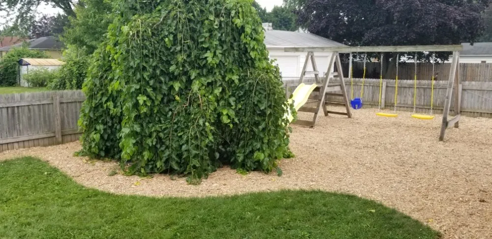 Professional outdoor landscaping for residential properties across Kimberly, WI - The Yard Artist