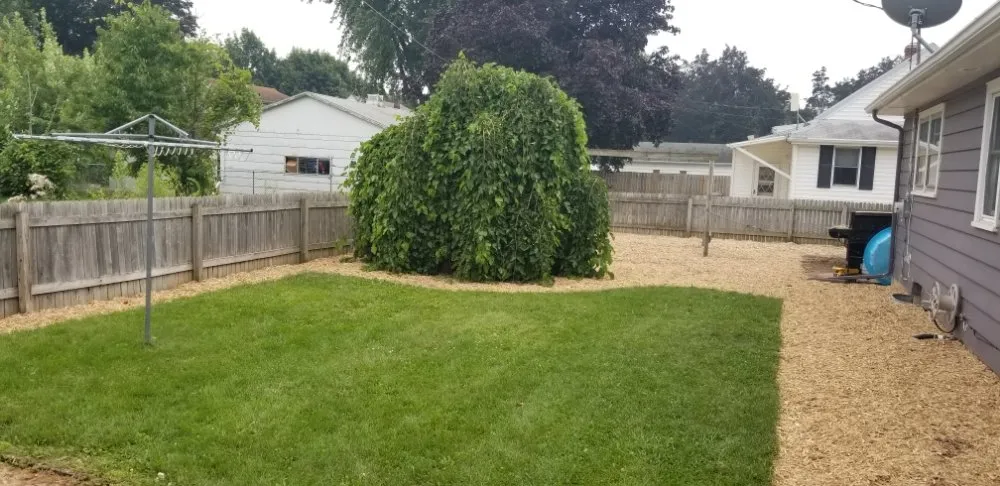 Professional landscape installation in Kimberly, WI by The Yard Artist