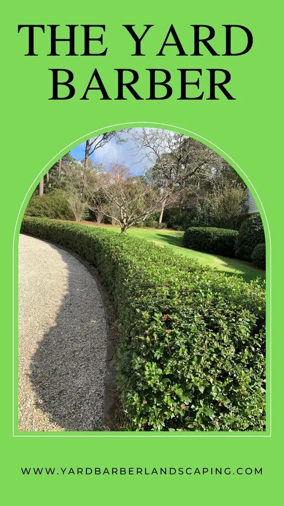 Top-rated yard cleanup service experts serving Aiken, SC - The Yard Barber