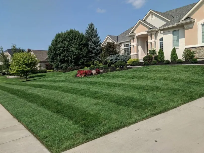 Professional outdoor landscaping experts serving Cincinnati, OH - The Yard Barber