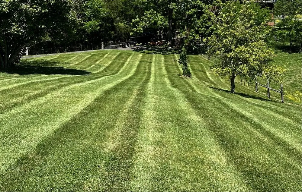 Reliable residential landscaping in Morristown, TN - The Yard Barber
