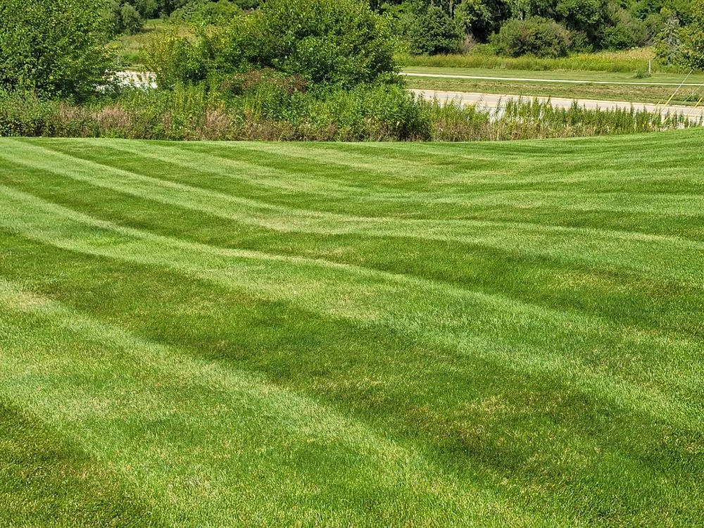 Professional yard maintenance in tripoli, IA - The Yard Barber