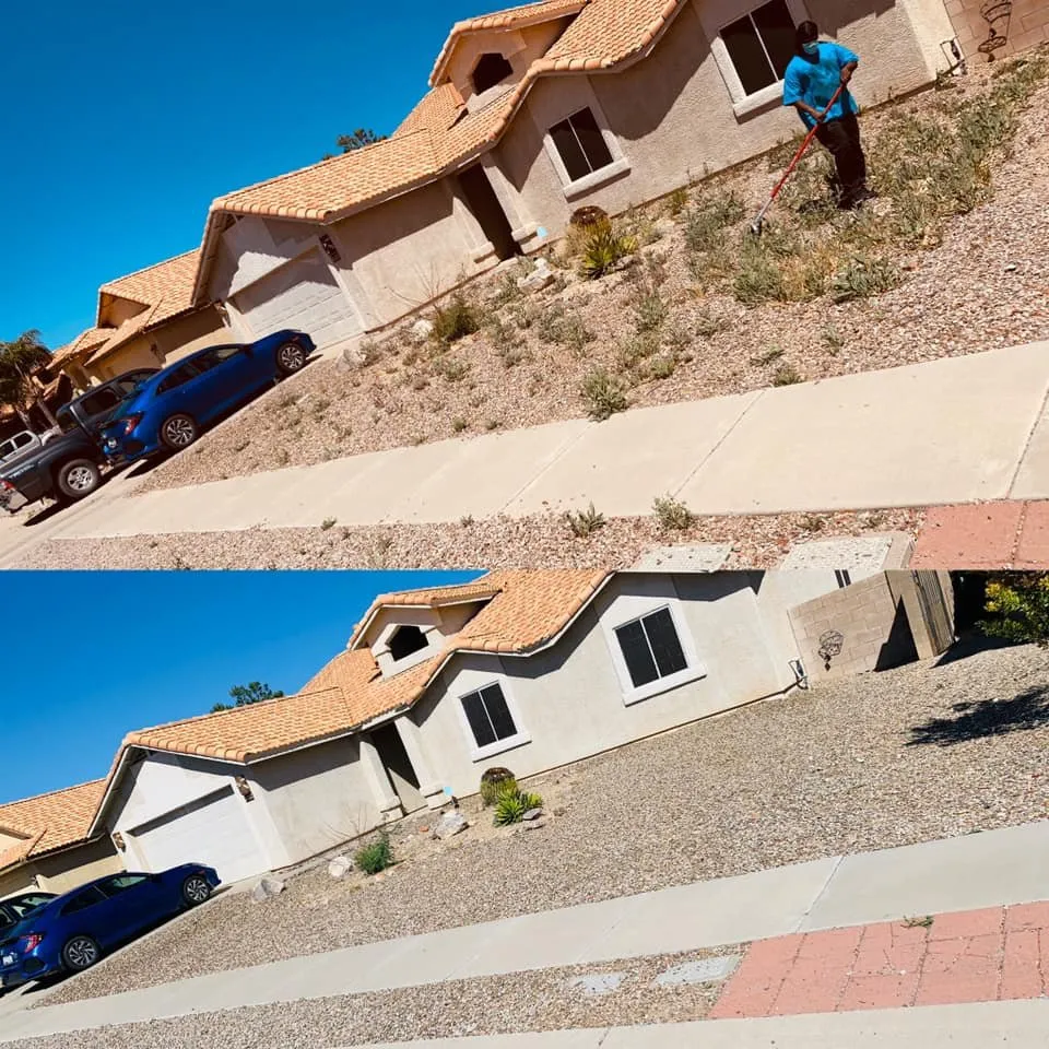 Reliable lawn care service experts serving Tucson, AZ - The Yard Barber