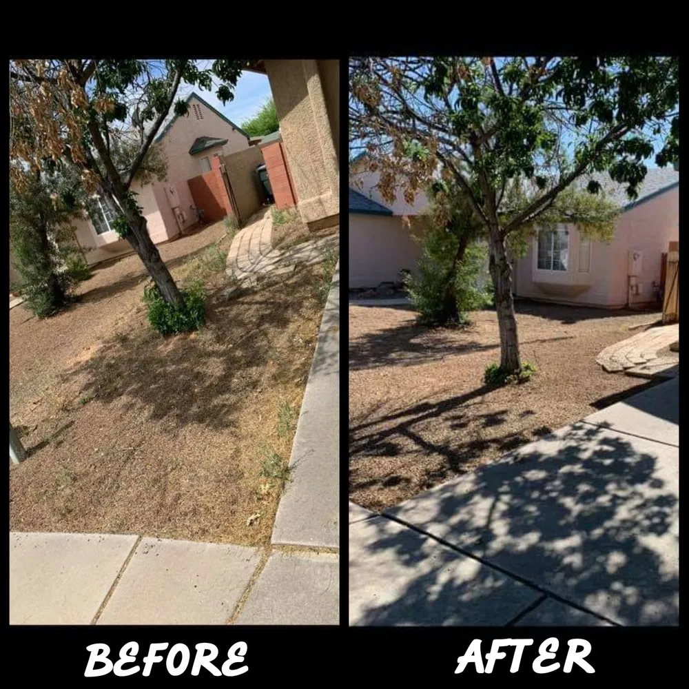 Local lawn care service with custom design in Tucson, AZ by The Yard Barber
