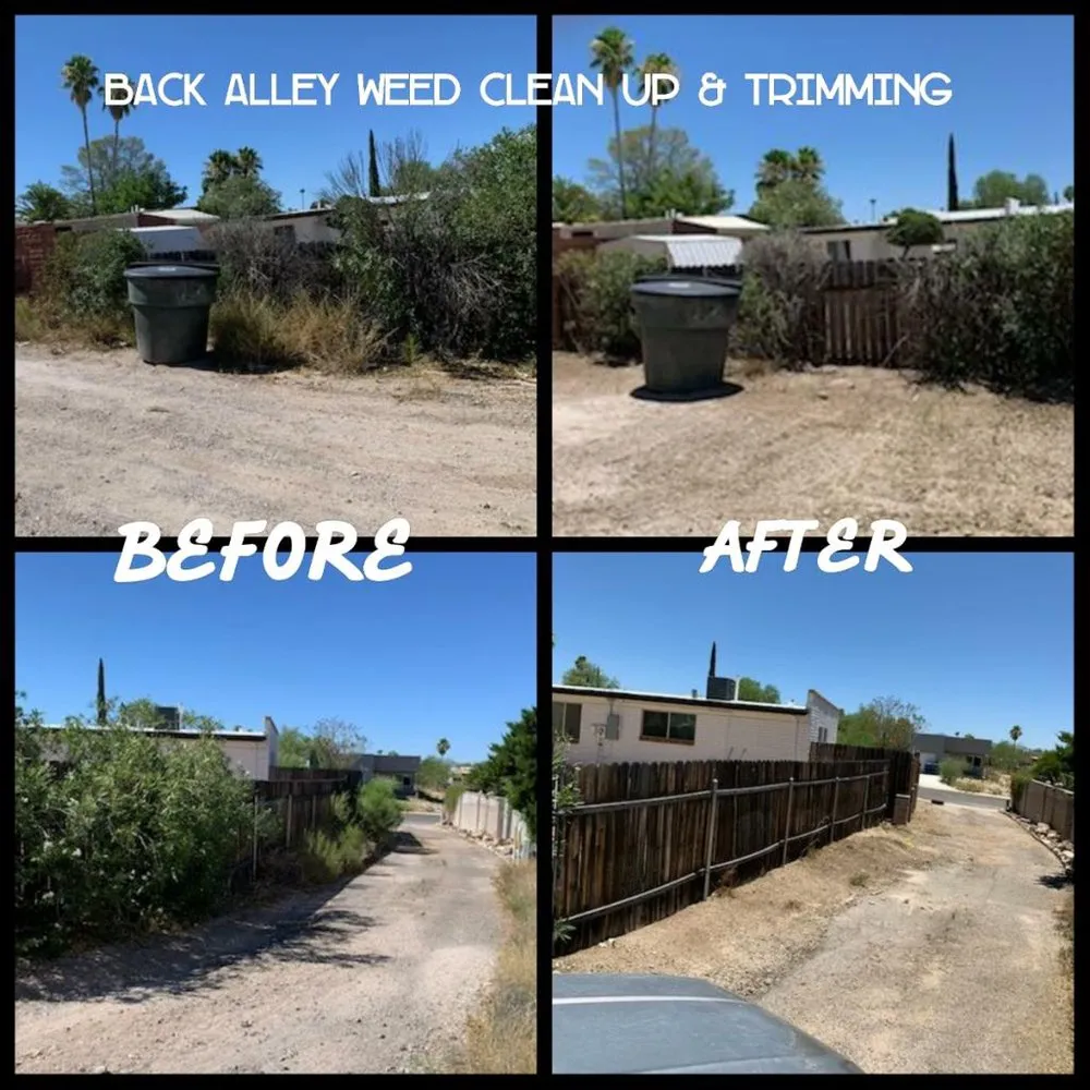 Custom lawn care service in Tucson, AZ - The Yard Barber