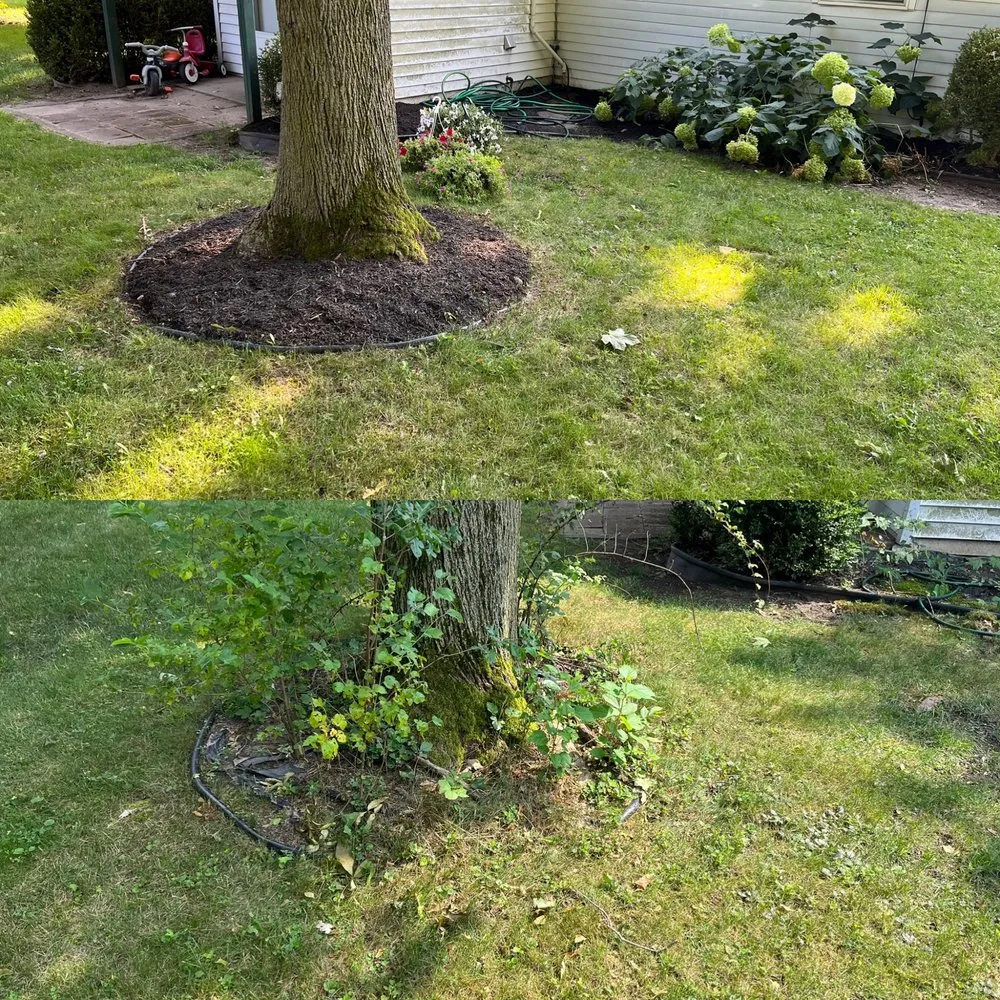 Top-rated landscape design for year-round maintenance across Elkhart, IN - The Yard Barbers Lawn Care Services