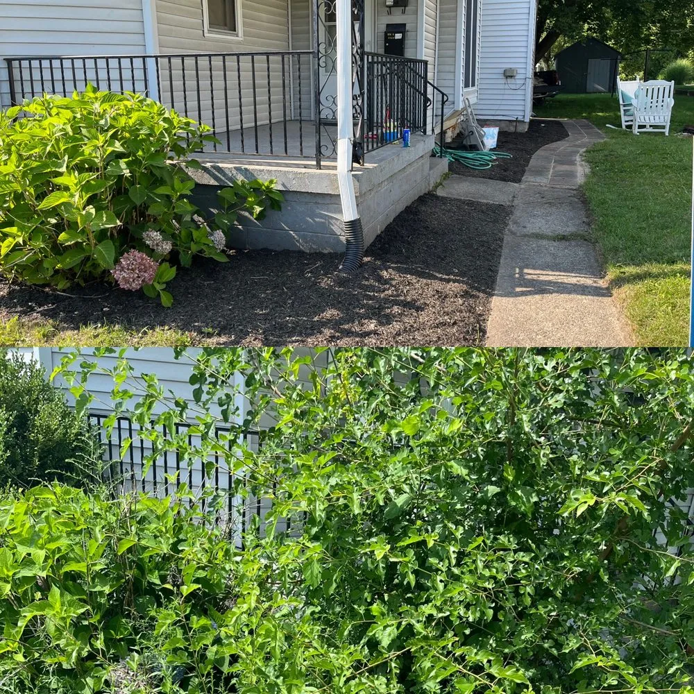 Local residential landscaping in Elkhart, IN by The Yard Barbers Lawn Care Services