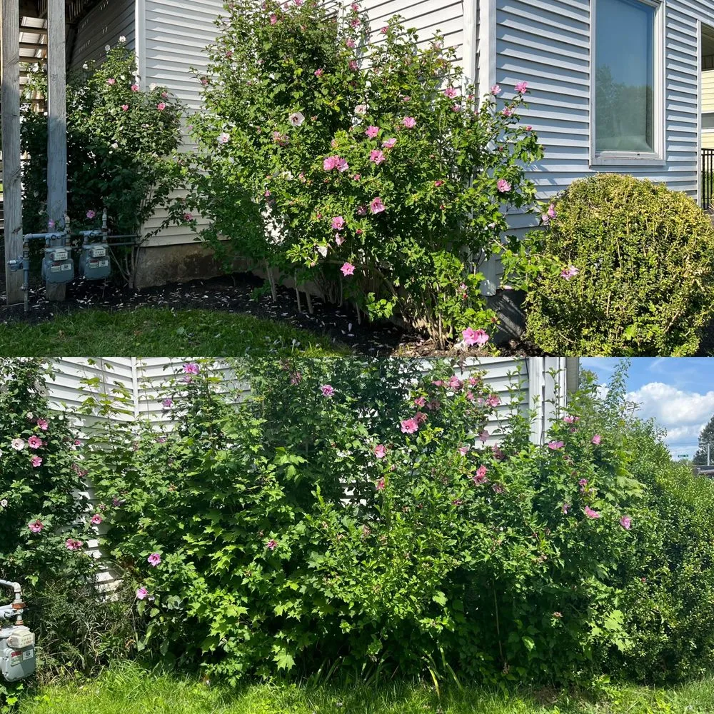 Local landscape installation near you in Elkhart, IN by The Yard Barbers Lawn Care Services